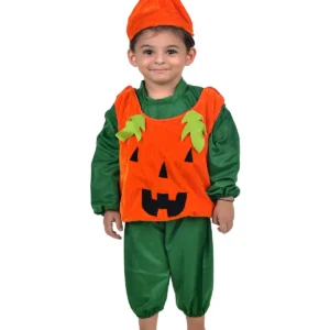 Pumpkin Vegetable Kids Fancy Dress Costumev